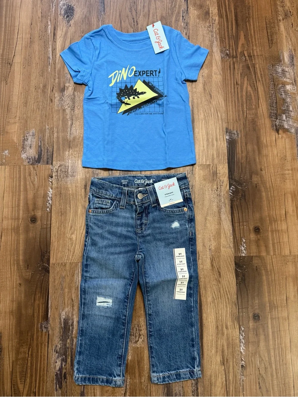 Cat & Jack Blue 'Dino Expert' Tee & Jeans Set